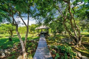 st-martin-villa-encore-2025-060